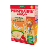 Blédina phosphatine Nutrijoy 200 G 6+