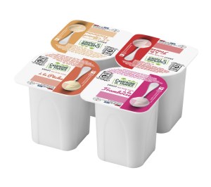 Yaourt Aux Fruits Mixés