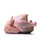 Poulet Dur Poids 10 KG. 1 Kg