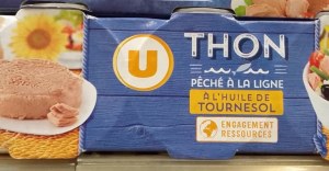 Thon Pêche A L aLigne