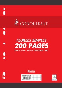 Feuilles Simples 200 Pages 21 x 29,7 CM