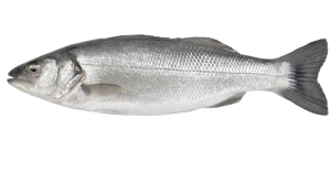 Petit Bar Makalala Poisson 1 KG