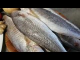 Petit Thilondo 1 KG