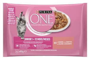 One Chat Junior