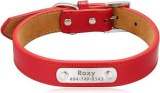 Collier Cuir Rouge Chat
