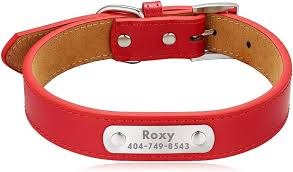 Collier Cuir Rouge Chat