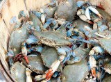 Crabe De Mer 1 KG