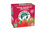 Infusion Fraise Framboise Groseille 20 Infusion