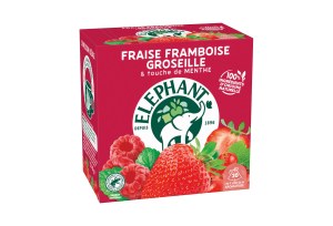Infusion Fraise Framboise Groseille 20 Infusion