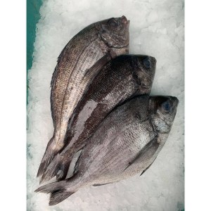 Dorade Grise Poisson 1 KG