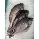 Dorade Grise Poisson 1 KG