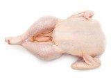 Poulet Coquelet A Blan 0,600 KG