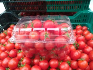 Tomate 1 KG