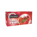 Infusion Saveur Fruits Rouges 25 Sachets