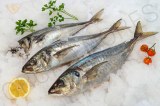 Jurel Poisson 1 KG