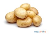 Pomme de terre 1 KG