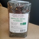 Lentille Verte
