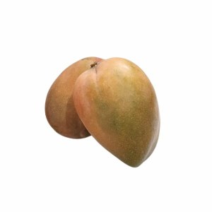 Mangue Congo 1 KG