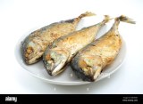 Poisson Jurel