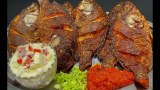 Poisson Frit
