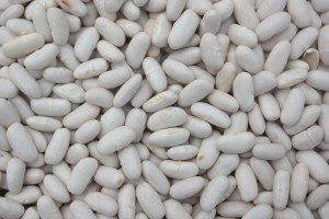 Mogette Vendée Haricots Blanc / KG