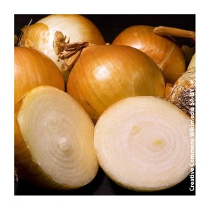 Oignon Jaune 1 KG