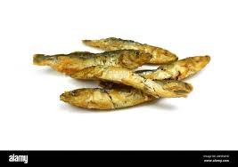 Petit Bar Frit