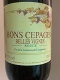 Bons Cepages Belle Vigne Rouge 100 CL