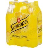 Schweppes Indian Tonic 6 x 25 CL