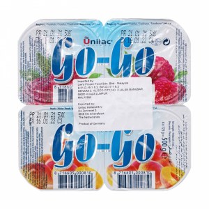 Go-Go Yaourt Fruits