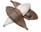 Sole poisson 1 KG