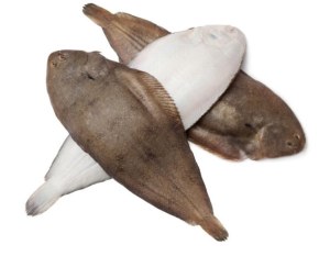 Sole poisson 1 KG